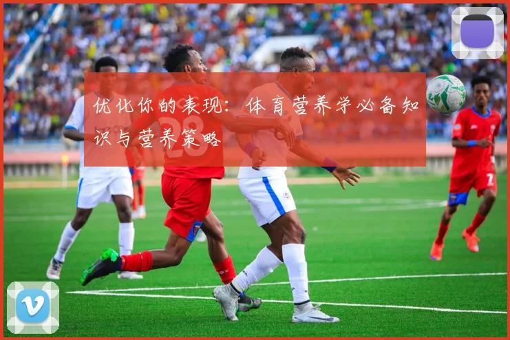 优化你的表现:体育营养学必备知识与营养策略