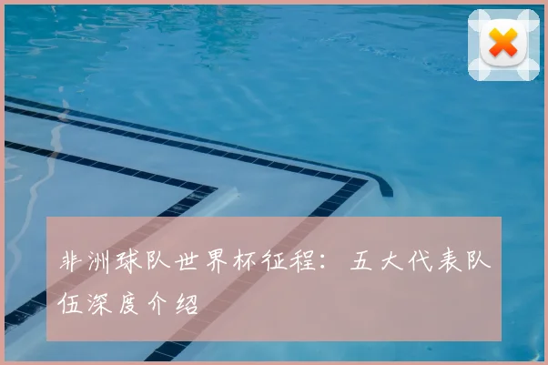 非洲球队世界杯征程：五大代表队伍深度介绍