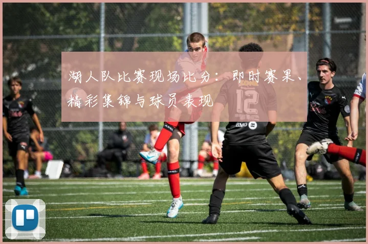 湖人队比赛现场比分：即时赛果、精彩集锦与球员表现